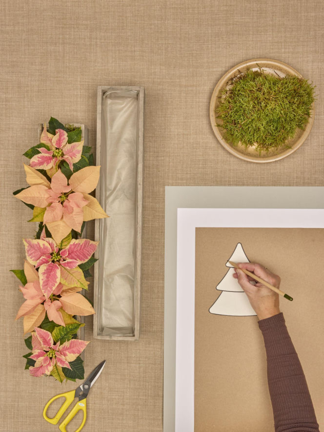 Kalendarz adwentowy z choinkami z papieru i mini poinsecjami