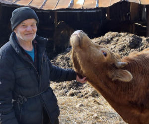 Rolnik z Podlasia bronił swojego bydła. Gdyby nie brat, to by mnie tam zatłukli