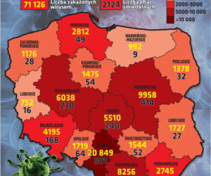 Koronawirus w Polsce. Ile jest dziś zakażeń? [7 WRZEŚNIA 2020]