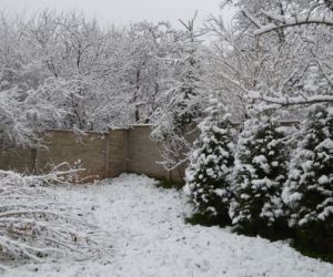 Zima Starachowice 29.11.2020