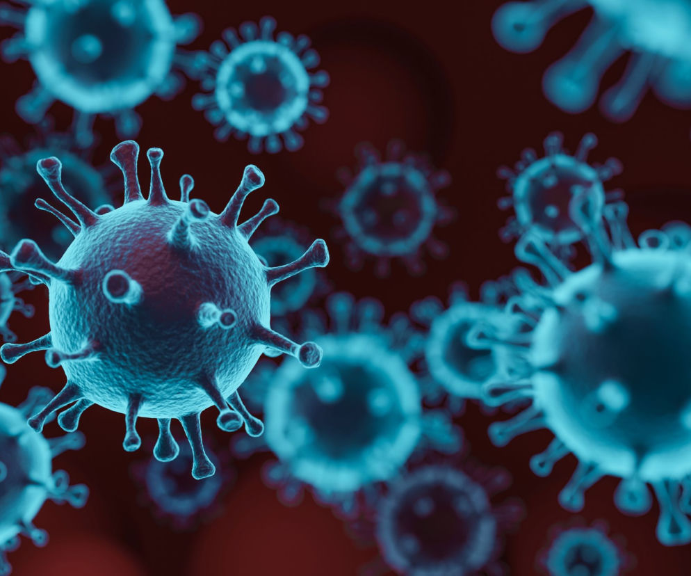 epidemia