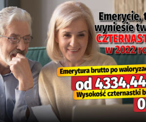 Emerycie, tyle wyniesie twoja czternastka w 2022 roku!