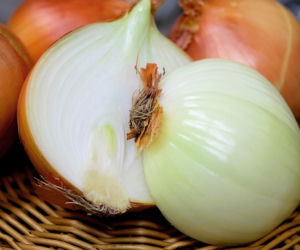 Cebula