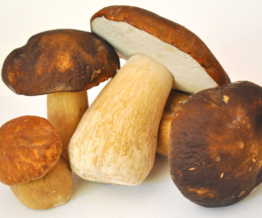 poledwiczki-z-prawdziwkami-pomysl-na-obiad-przepis-na-borowiki.jpg