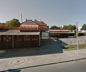Szczęki