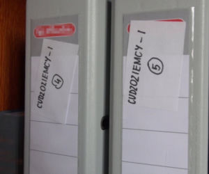 Akcja CBŚP: Rozbito gang ułatwiający pobyt nielegalnym imigrantom
