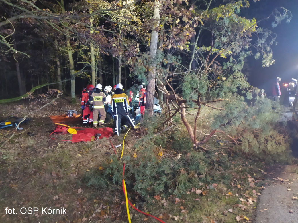 ŚMIERĆ dwóch 18-latków! Nocny dramat na drodze pod Poznaniem