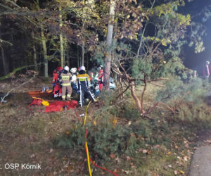 ŚMIERĆ dwóch 18-latków! Nocny dramat na drodze pod Poznaniem