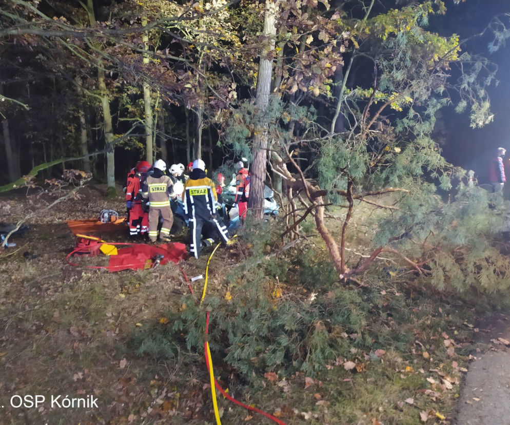 ŚMIERĆ dwóch 18-latków! Nocny dramat na drodze pod Poznaniem