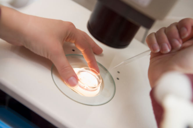 vitro szansa na potomstwo