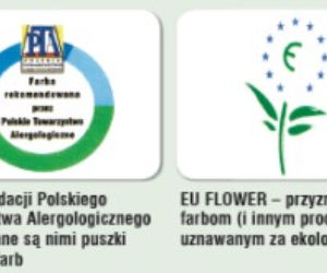 Ściany w pokoju dziecięcym: wybieramy farby