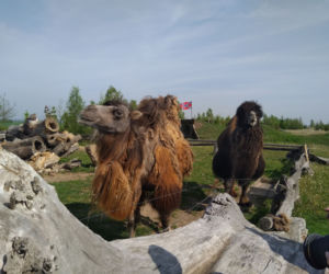 Zoo w miejscowości Chleby