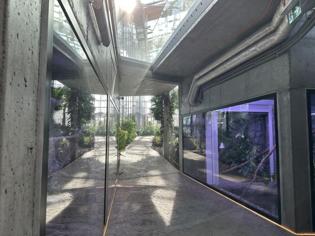 Nowe Egzotarium w Sosnowcu