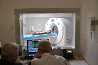 Egipska mumia trafiła do szpitala w Lublinie