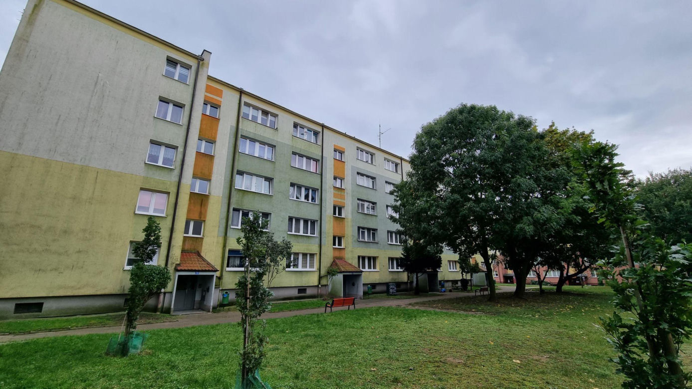 Dawni sąsiedzi Grzegorza Borysa nie mogą uwierzyć w to, co stało się w Gdyni