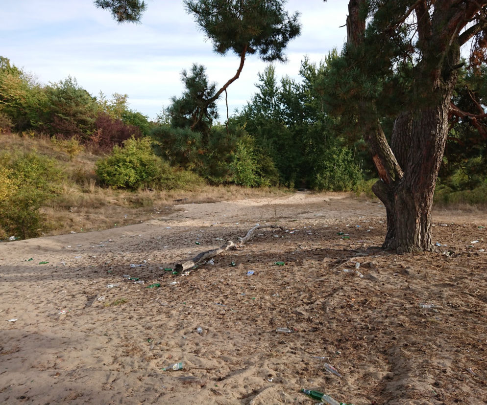  Są chętni na budowę Trasy Siedmiu Wzgórz w Gorzowie.