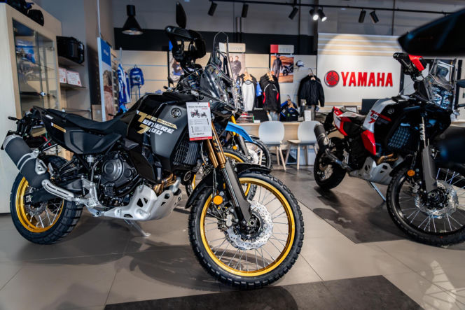 Sprawdź ofertę DEMO Liberty Motors