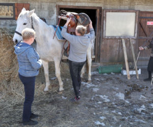 Tak żyje i pracuje Emilia Korolczuk z Rolnicy. Podlasie