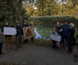 W Leśnicy grasuje szamboszajka