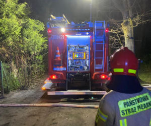 Duże straty po pożarze altany w Lesznie. Ogień wybuchł w środku nocy