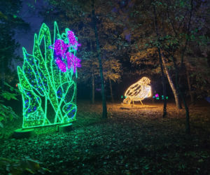 Otwarcie parku iluminacji w Poznaniu