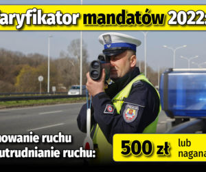 Taryfikator mandatów 2022 