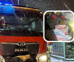 Pożar domu w Mińsku Mazowieckim. Strażacy uratowali kota!