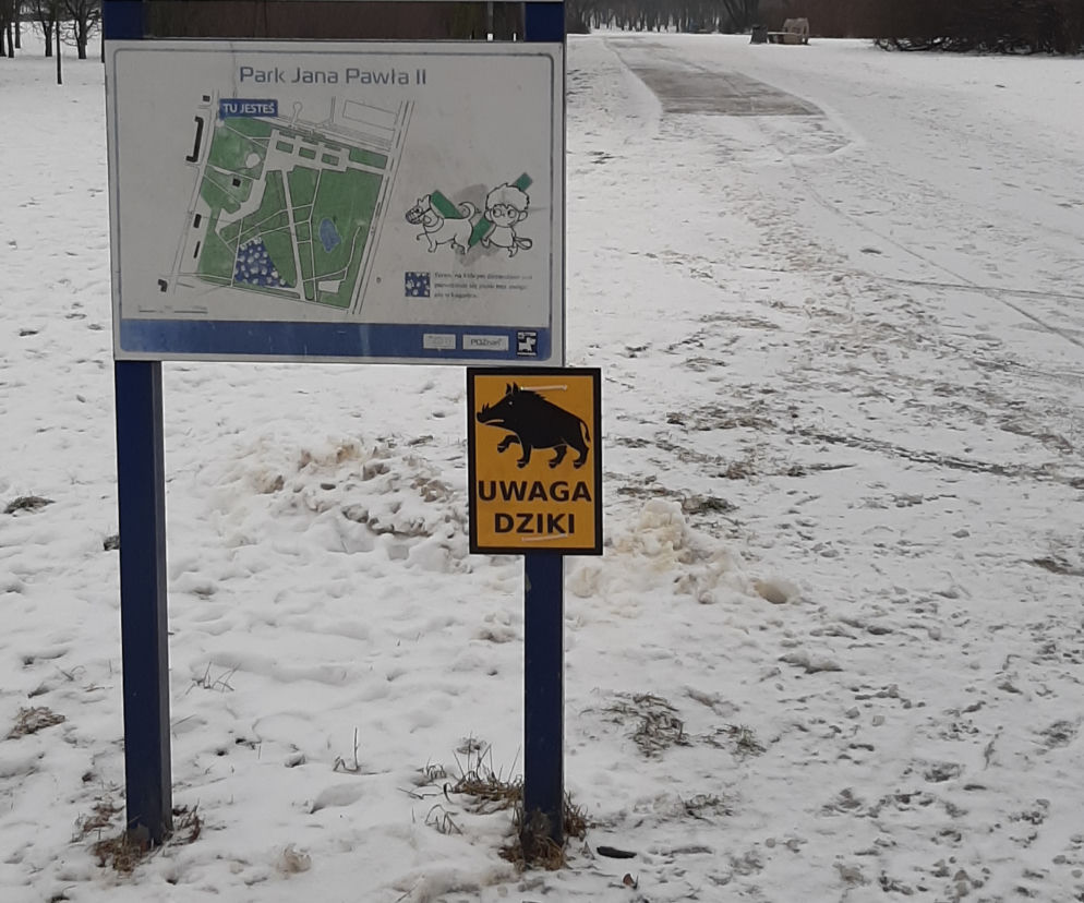 Park im. Jana Pawła II 