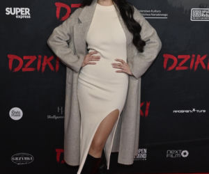 Gwiazdy na przedpremierze filmu Dziki