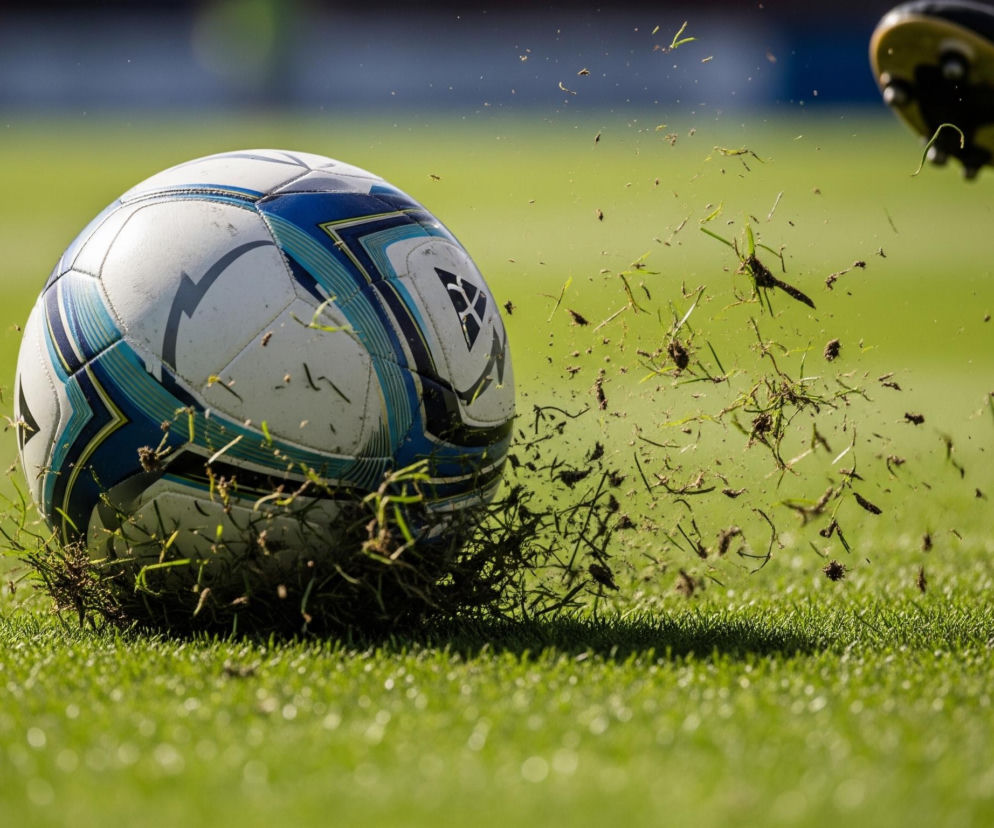 Ekstraklasa: Wisła Płock.jpg