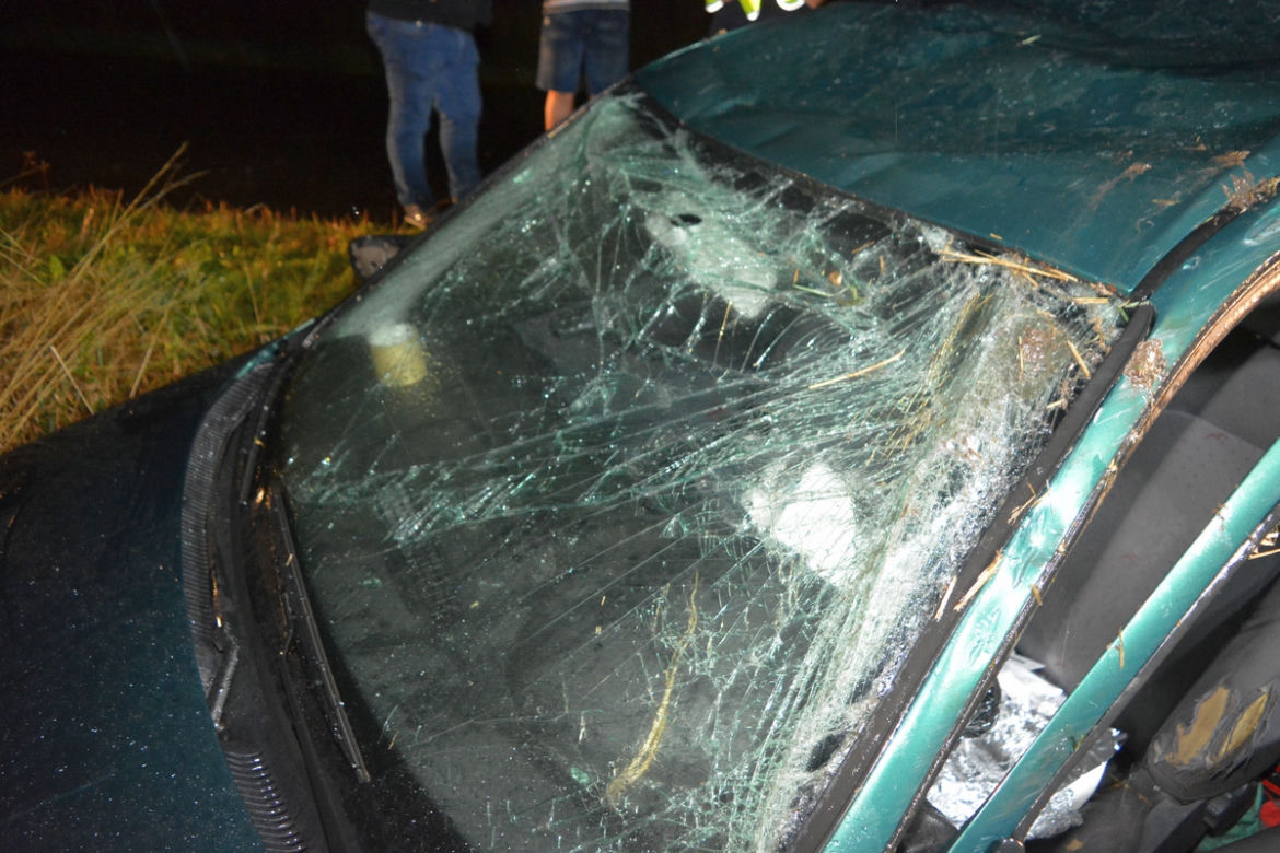 Pijany spowodował wypadek i uciekł! Znaleziono go na polu kukurydzy [ZDJĘCIA]