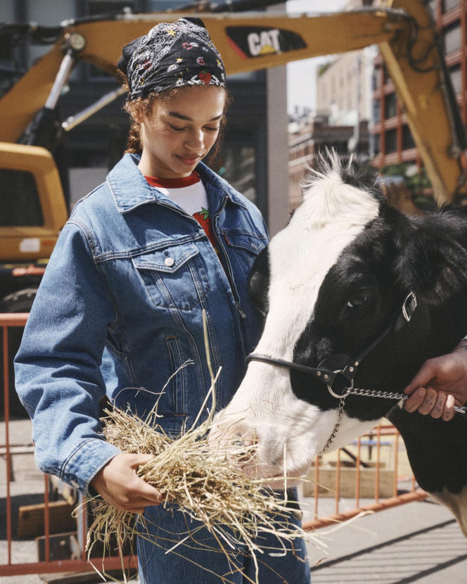 Levi's