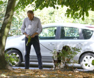 Tusk sprząta po psie