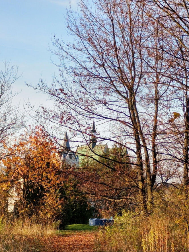 Szaniec. Świętokrzyskie