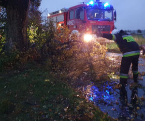 Interwencje strażaków z Grudziądza