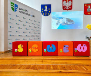 Hamak terapeutyczny, kolumna wodna i wiele więcej. SCWEW Ostrzeszów uruchomił wypożyczalnię specjalistycznego sprzętu