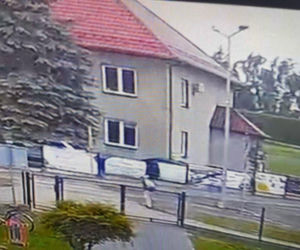 86-latek z impetem wjechał w dziecko! Pokazali wszystko na nagraniu. Włosy stają dęba