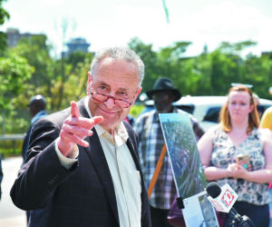 Schumer beszta Cuomo