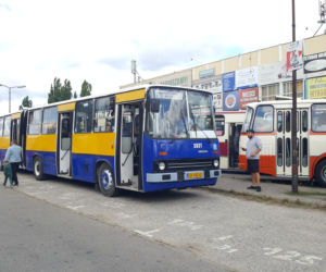 Zlot zabytkowych autobusów w Bydgoszczy