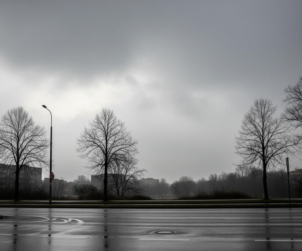 Mokry asfalt ulicy ze śladami wody i odbiciami światła zajmuje dolną część kadru, z wyraźnymi białymi liniami pasów ruchu i studzienką kanalizacyjną. Powyżej ulicy rozciąga się pas zieleni z licznymi, nagimi drzewami o ciemnych, rozłożystych konarach, za którymi widać niewyraźne, ciemne budynki. Ponad zielenią dominują szare, jednolite chmury, tworzące ponury nastrój, a po lewej i prawej stronie widoczne są pojedyncze, czarne latarnie uliczne.
