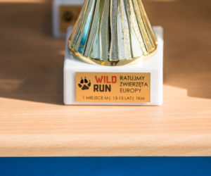 Wild Run 2019. Znamy zwycięzców charytatywnego biegu we wrocławskim zoo