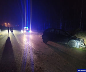 Kierowca Opla podróż zakończył na skarpie