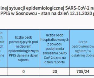 Koronawirus w województwie śląskim. Prawie 4 tysiące nowych zakażeń 12 listopada. Najwięcej w Sosnowcu [GALERIA]
