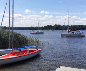 20. regaty Yellow Cup 2020 w Iławie