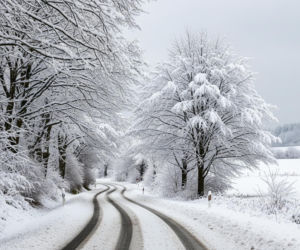 Paraliż komunikacyjny na Pomorzu. Czy region znów zaskoczyła pogoda?