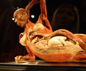 Rzeźby Gunthera von Hagens