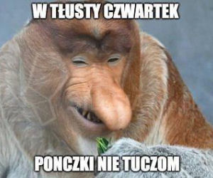 Tłusty Czwartek 2020. Zobacz najlepsze memy