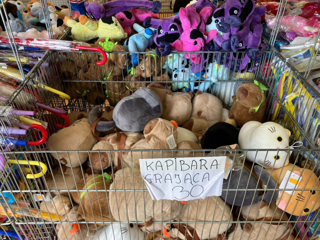 Krynica Morska to popularne miejsce na urlop. Jakie sątu ceny?