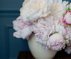 Bladoróżowe peonie