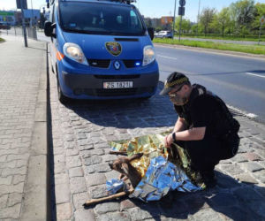 Ranna sarenka na ul. Taczaka